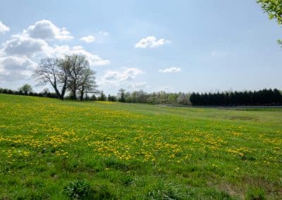 20190420-Journee-cricuit-trackday-mornay-gueret-creuse-2019-126